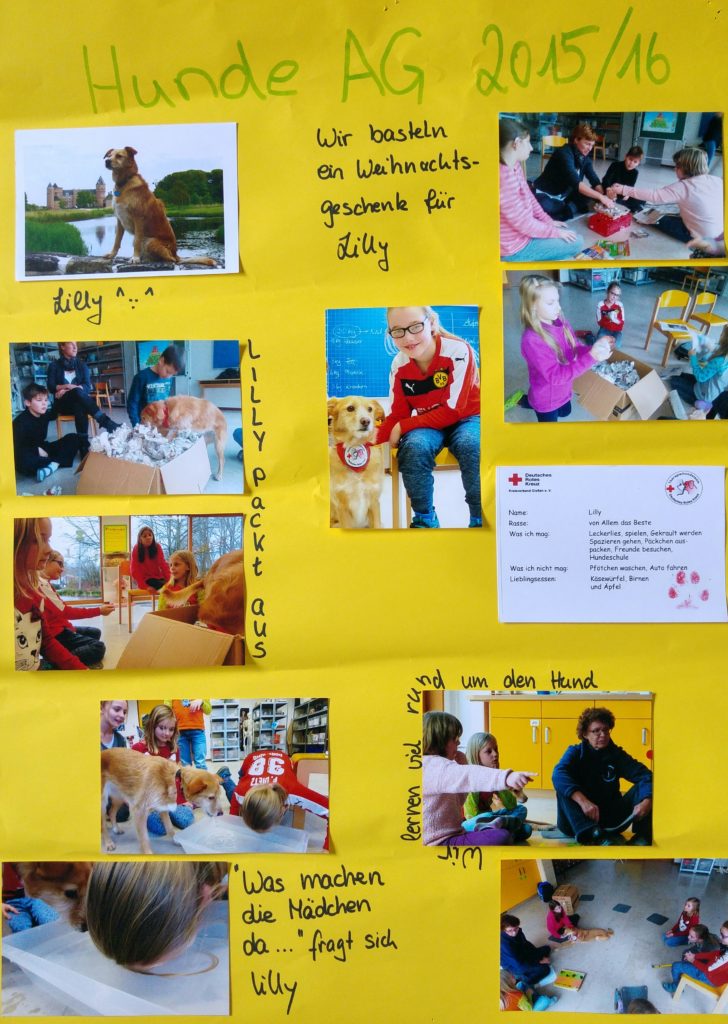 Plakat der Hunde AG 2015-16